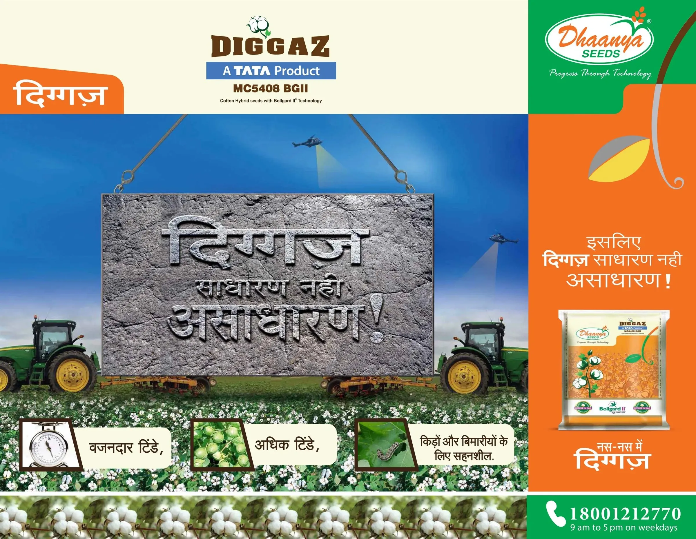 Dhaanya Seeds - creative work 3