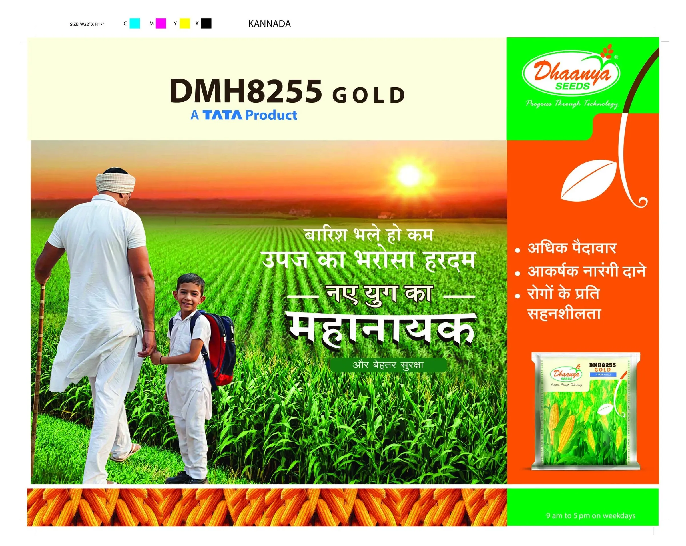 Dhaanya Seeds - creative work 4