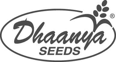 Dhaanya Seeds