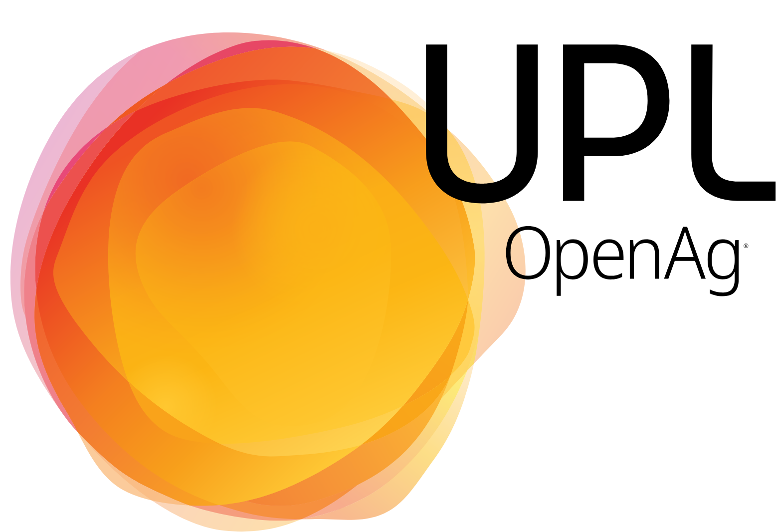Logo 5